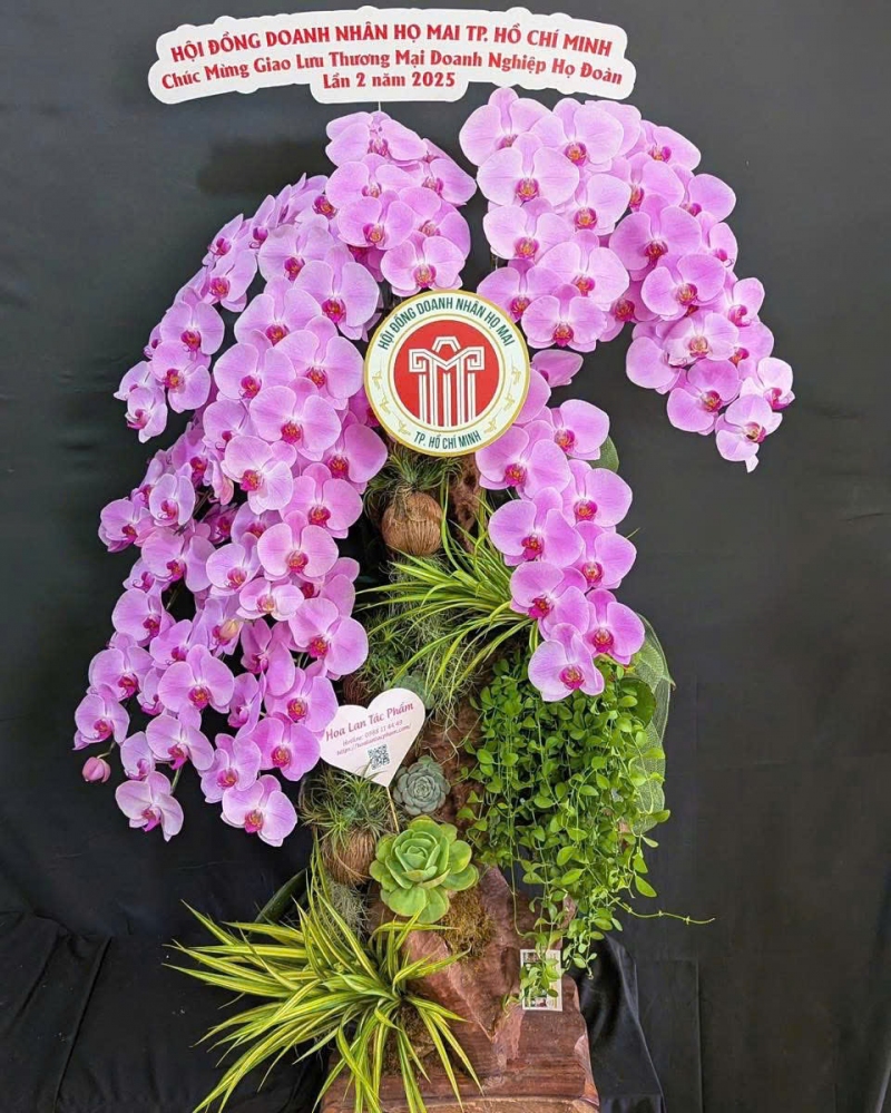 Lan Hồ Điệp Huy Hoàng Vượng Khí - LHD018