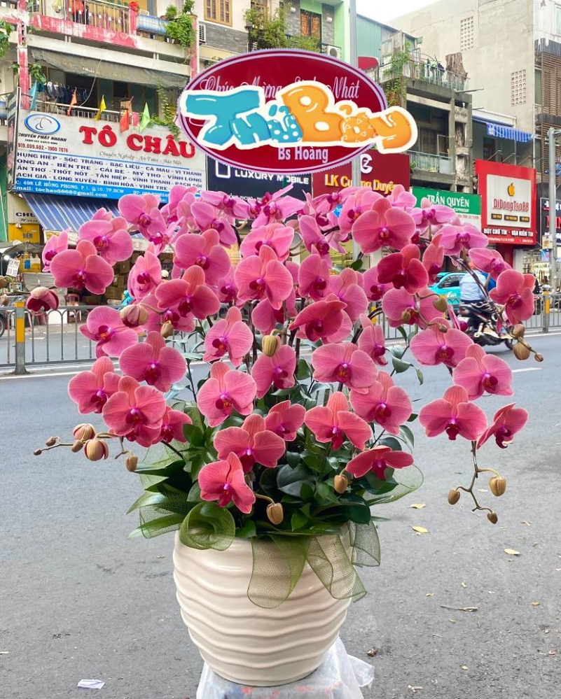 Hoa lan hồ điệp 10 cành - HD0046