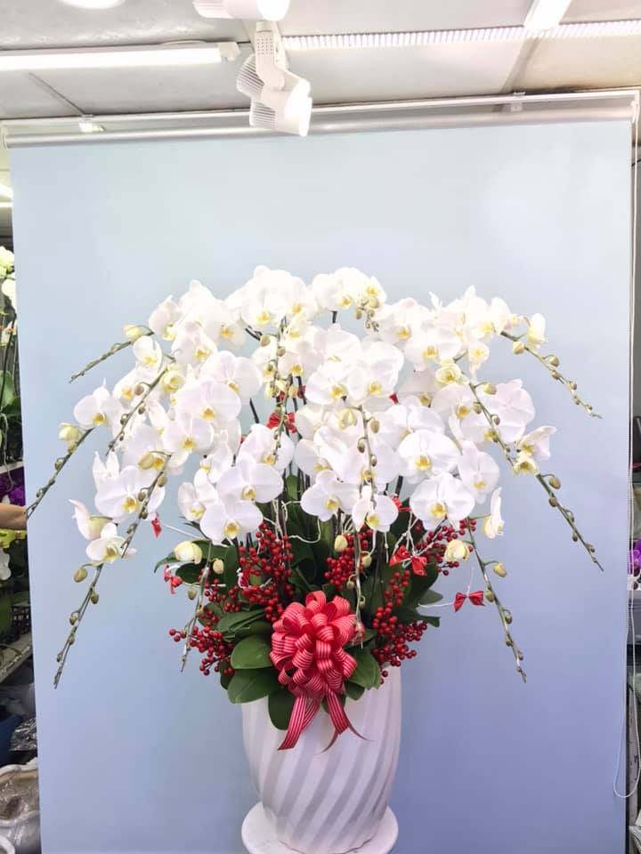 Hoa lan hồ điệp 12 cành - HD0057