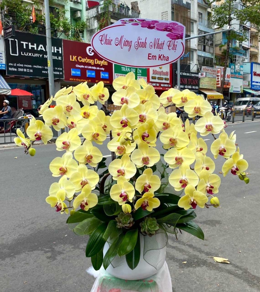 Hoa lan hồ điệp 6 cành - HD0029