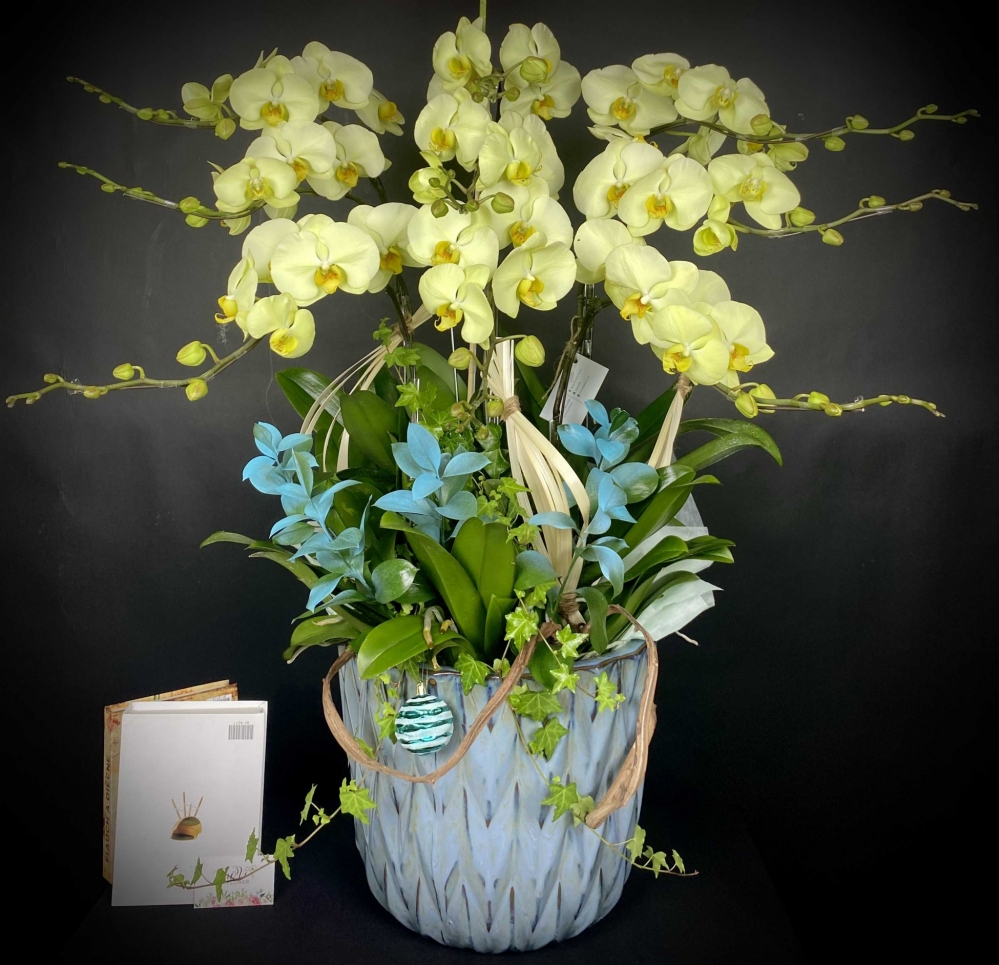 Hoa lan hồ điệp 9 cành - HD0115
