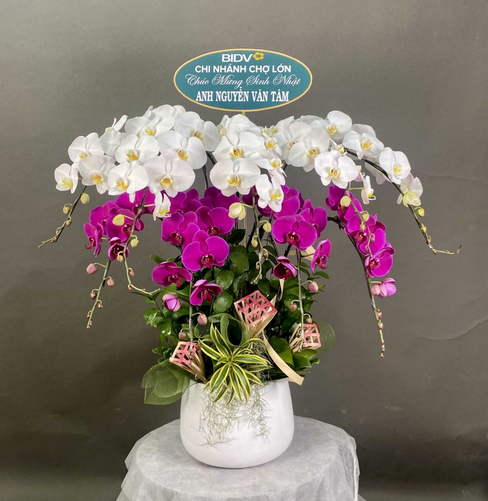 Hoa lan hồ điệp 9 cành - HD0122