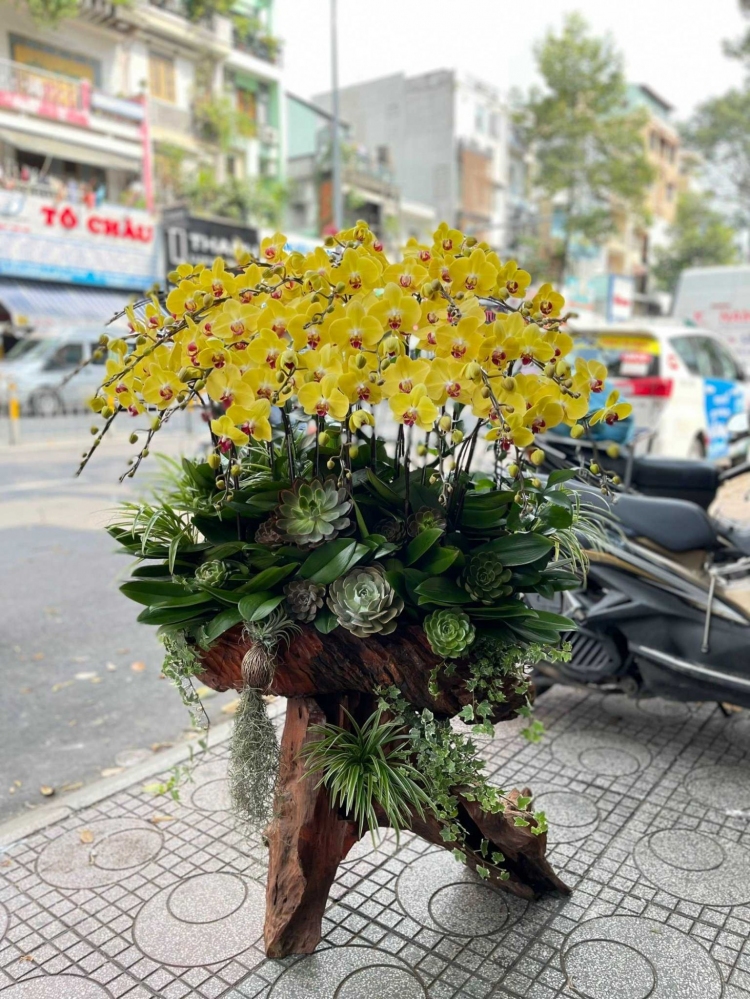 Hoa lan hồ điệp từ 15 cành - HD0068