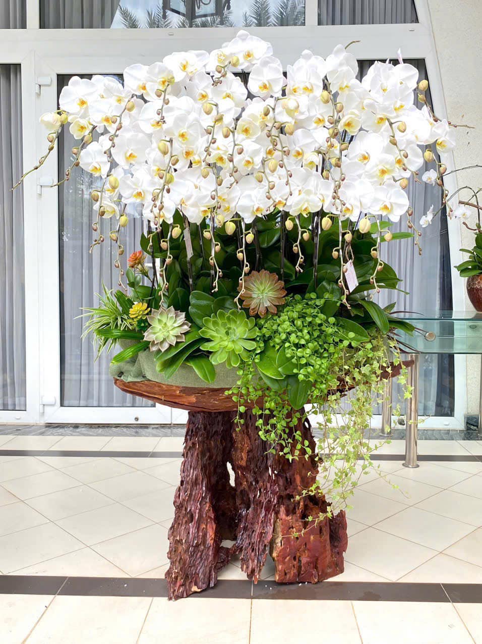 Tác phẩm hoa lan hồ điệp 2